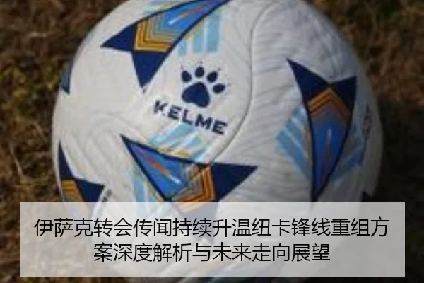 伊萨克转会传闻持续升温纽卡锋线重组方案深度解析与未来走向展望